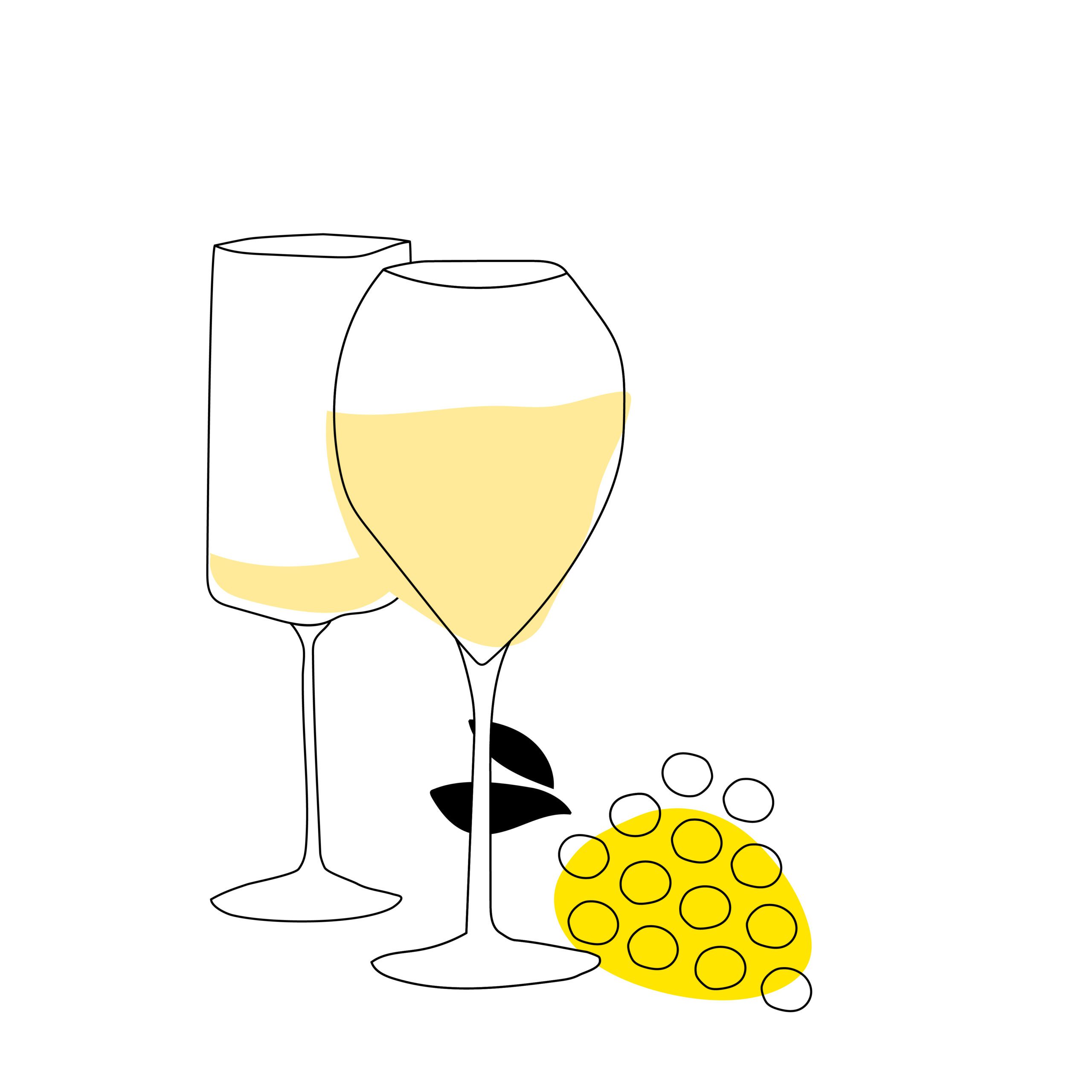 Chardonnay – Die Weisse Champagner Rebsorte-FOUFOU-CHAMPAGNE-BOUTIQUE