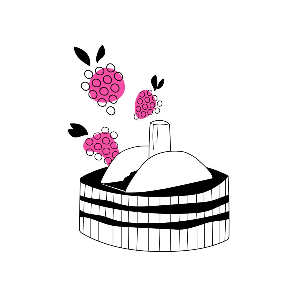 Pinot Noir – Die Kraftvolle Champagner Rebsorte- FOUFOU-CHAMPAGNE-BOUTIQUE