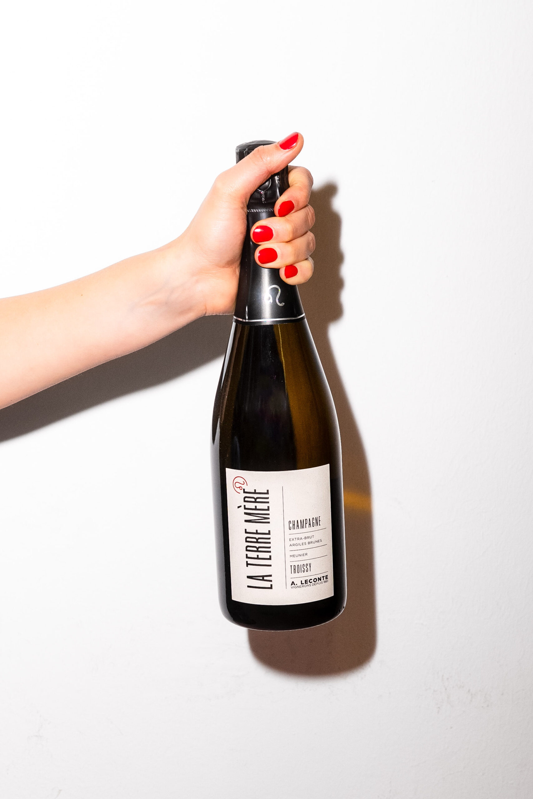 Alexis La Terre Mère